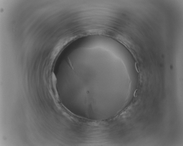 X0000076380241200610202046