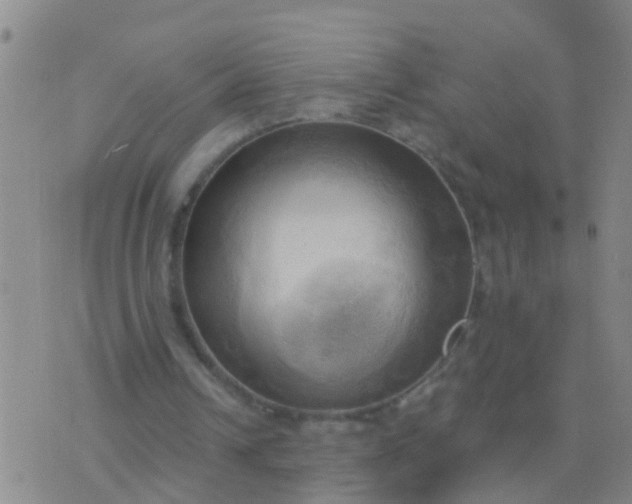 X0000076380242200610202046