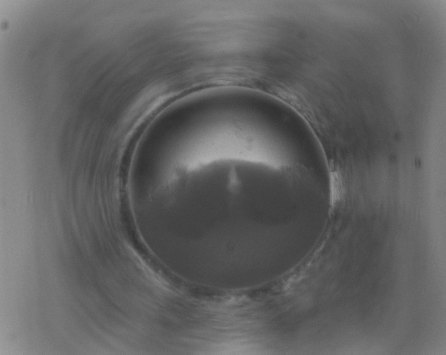 X0000076380243200610202046