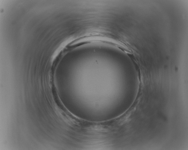 X0000076380244200610202046