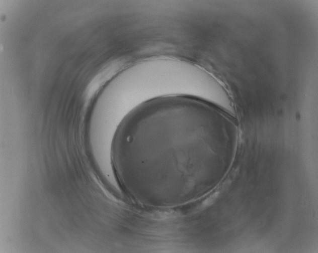 X0000076380245200610202046