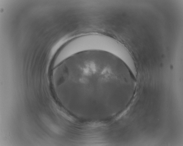 X0000076380246200610202046