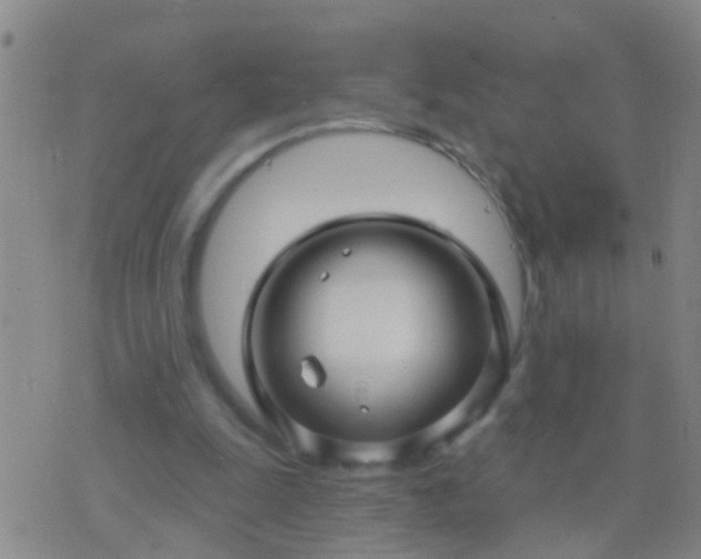 X0000076380247200610202046