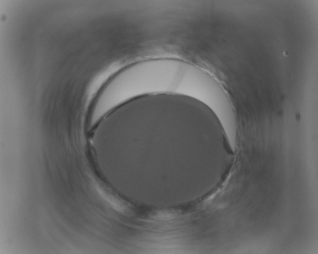 X0000076380248200610202046