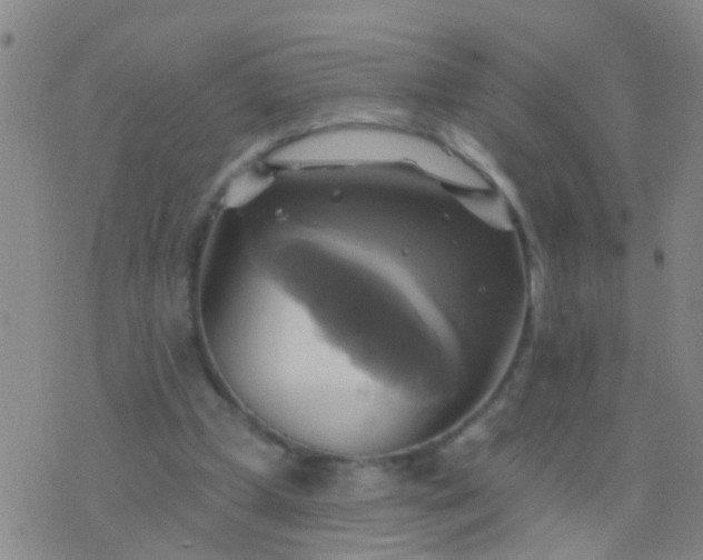 X0000076380249200610202046