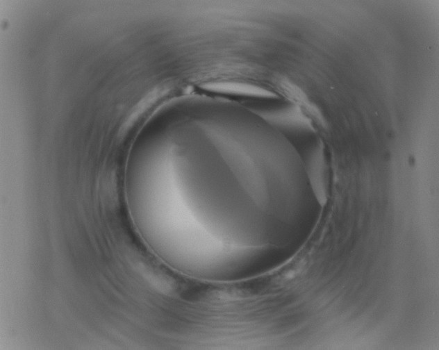 X0000076380250200610202046