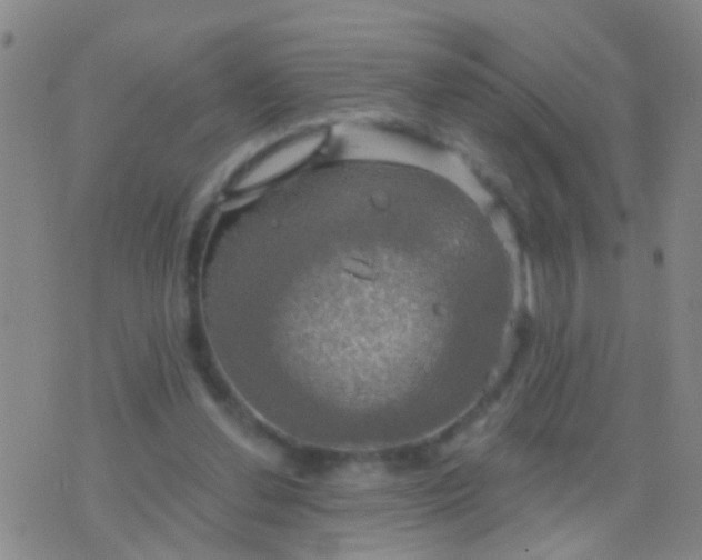 X0000076380252200610202046