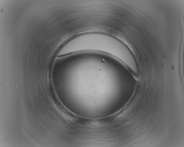 X0000076380253200610202046