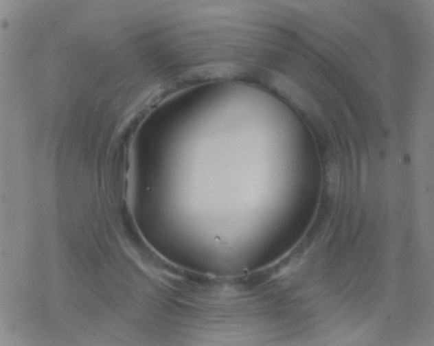 X0000076380254200610202046