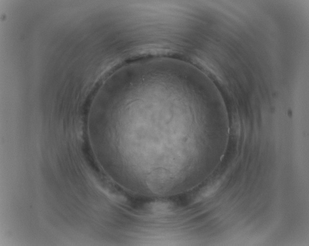 X0000076380255200610202046