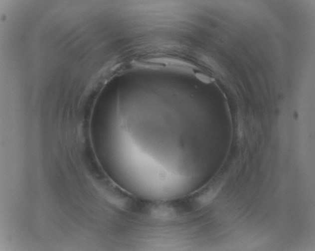 X0000076380258200610202046