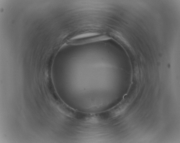 X0000076380259200610202046