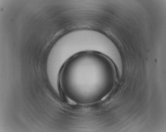 X0000076380260200610202046