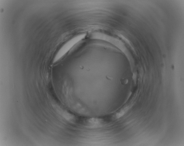 X0000076380261200610202046