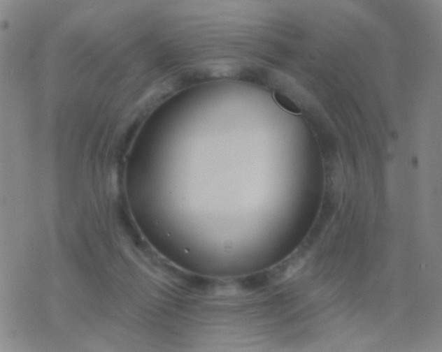 X0000076380262200610202046