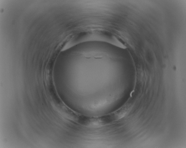 X0000076380263200610202046