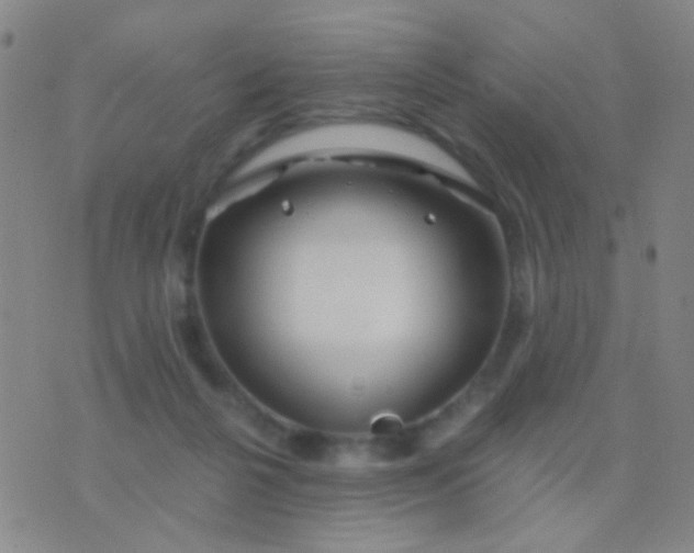 X0000076380264200610202046