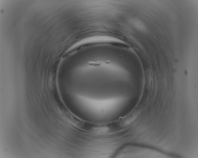 X0000076380266200610202046