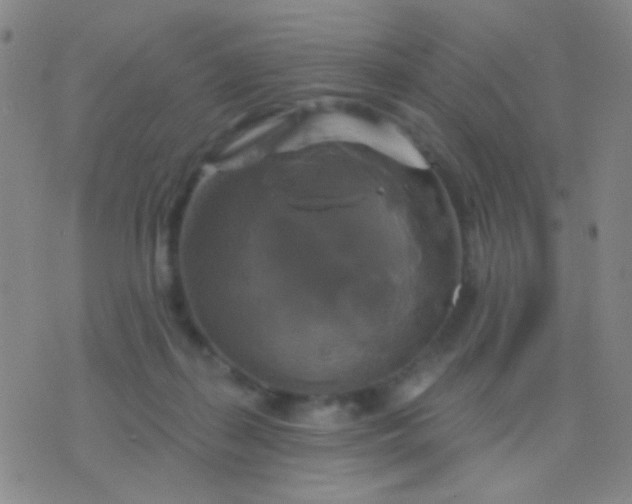 X0000076380267200610202047