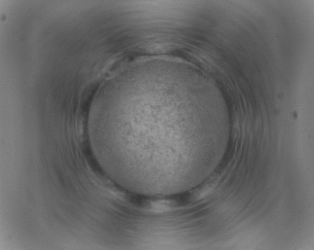 X0000076380268200610202047