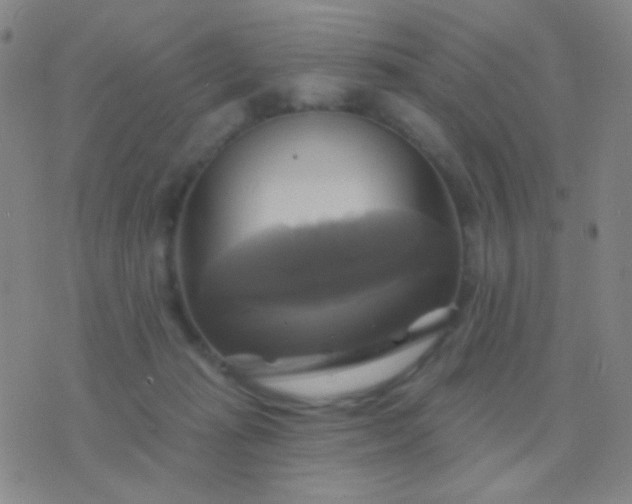 X0000076380269200610202047