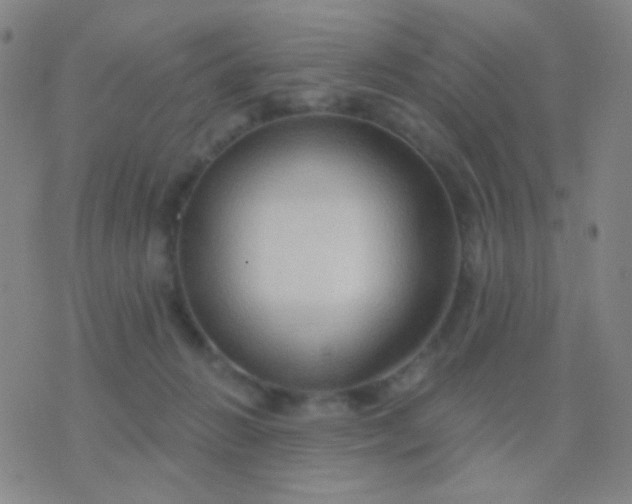 X0000076380270200610202047