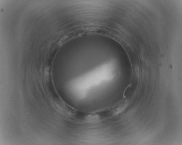 X0000076380271200610202047