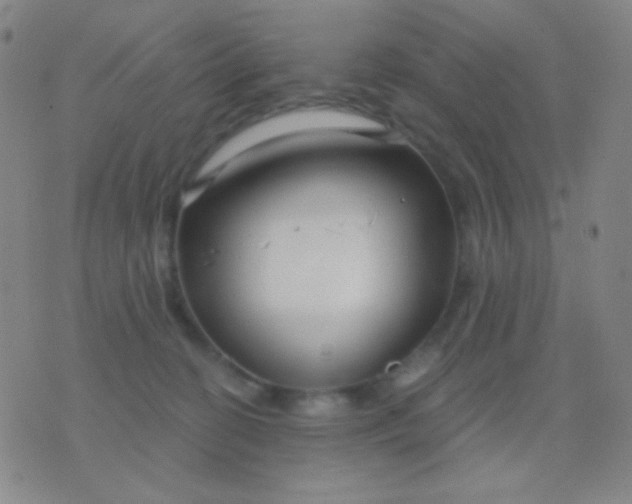 X0000076380274200610202047