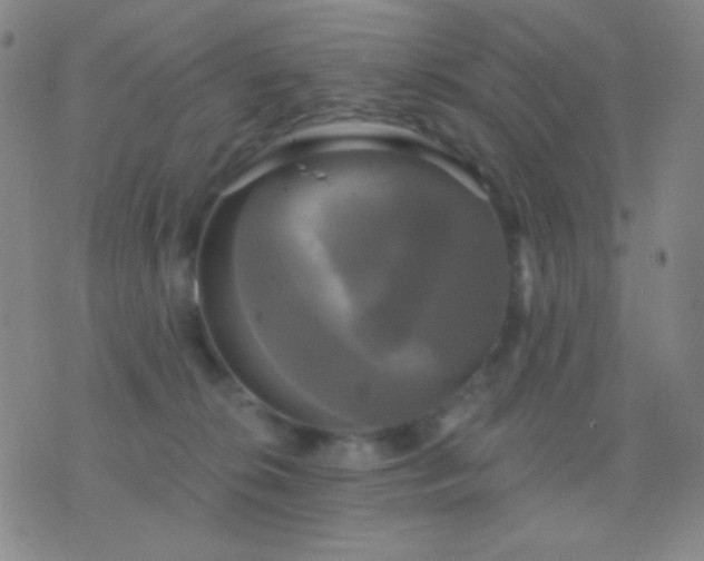 X0000076380276200610202047