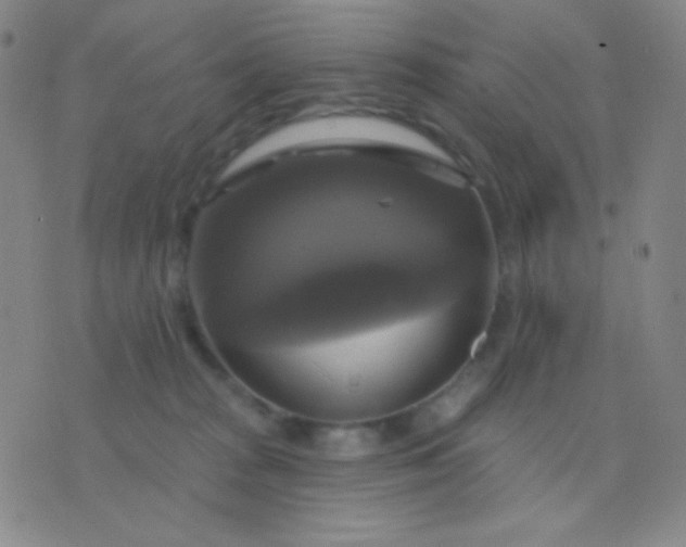 X0000076380277200610202047