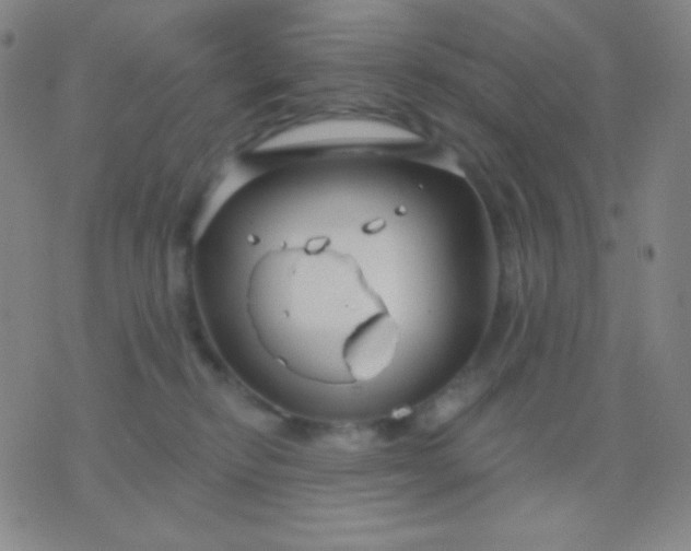 X0000076380278200610202047