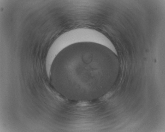 X0000076380280200610202047