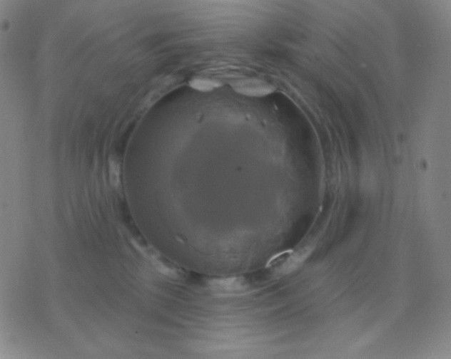 X0000076380281200610202047