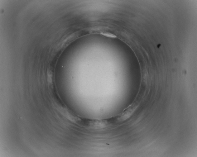 X0000076380282200610202047