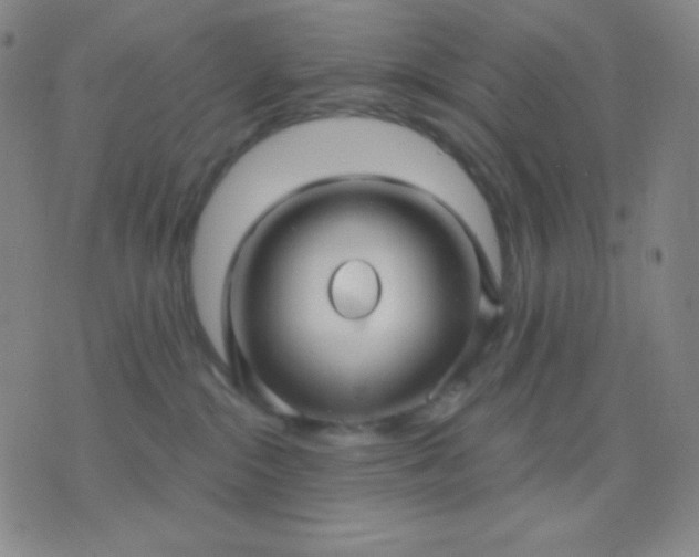 X0000076380284200610202047