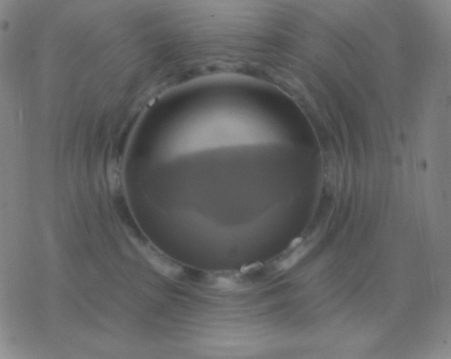 X0000076380285200610202047