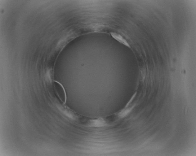 X0000076380286200610202047