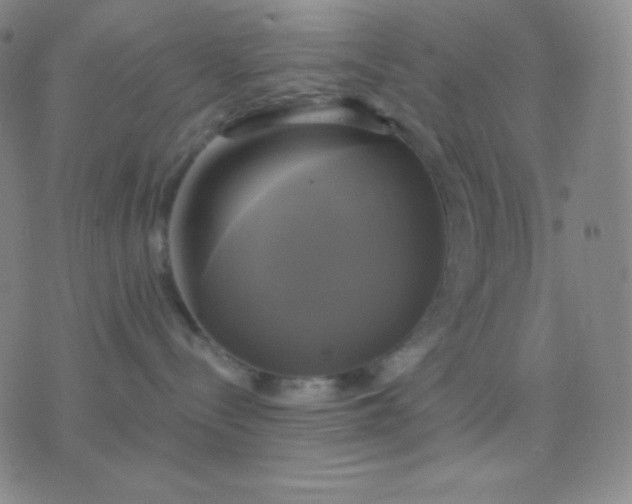 X0000076380288200610202047