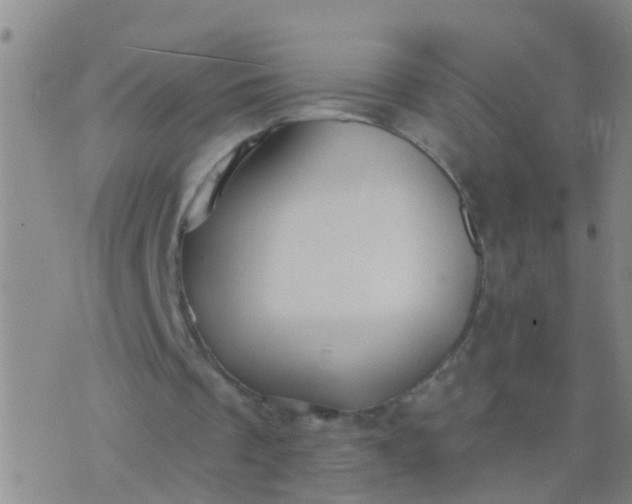 X0000076380289200610202046