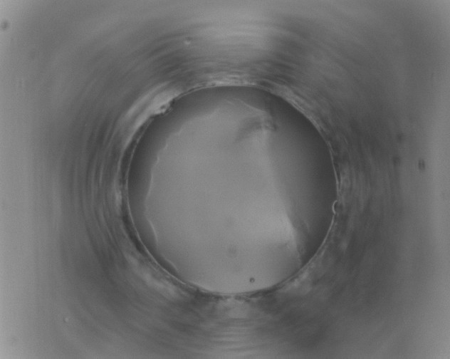 X0000076380290200610202046