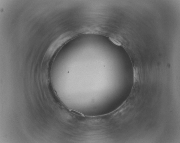 X0000076380291200610202046