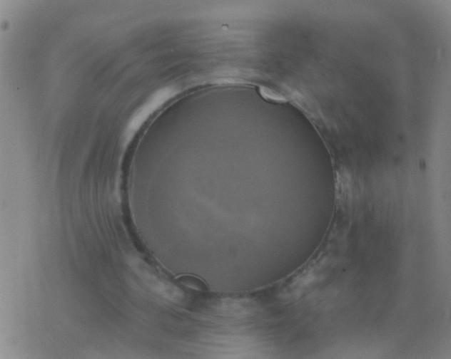 X0000076380292200610202046