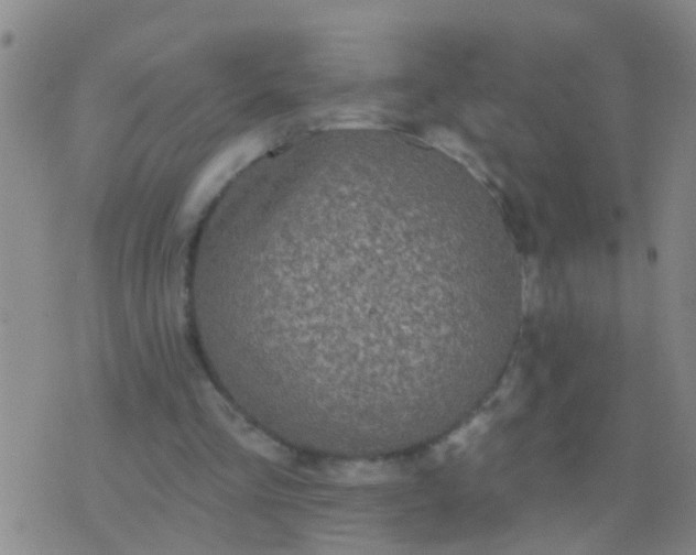 X0000076380293200610202046