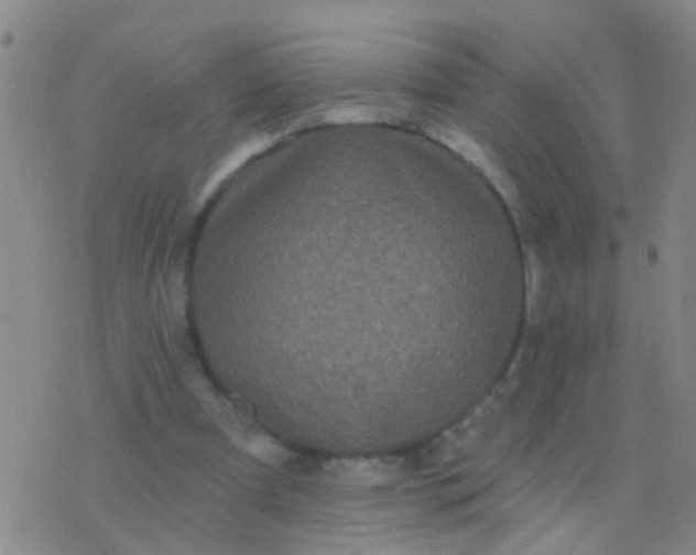 X0000076380297200610202046