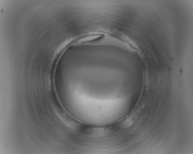 X0000076380298200610202046