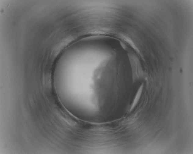 X0000076380299200610202046