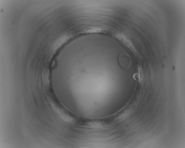 X0000076380300200610202046