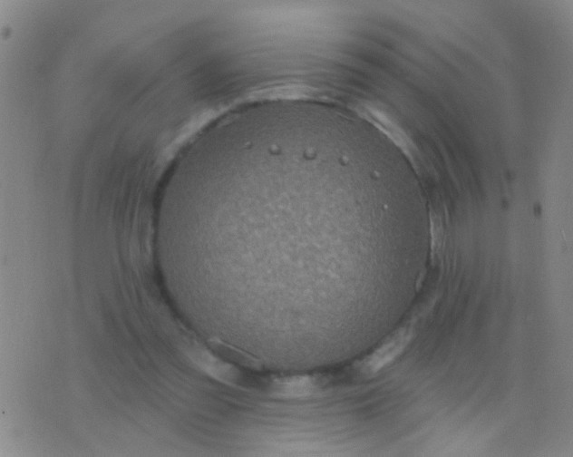 X0000076380301200610202046