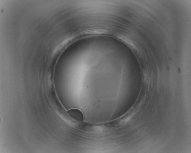 X0000076380302200610202046