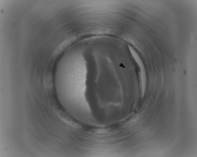 X0000076380303200610202046